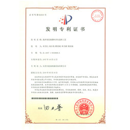 廢棄高發(fā)泡塑料再生造粒工藝