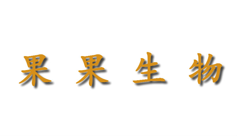 廣州果果先森生物科技有限公司